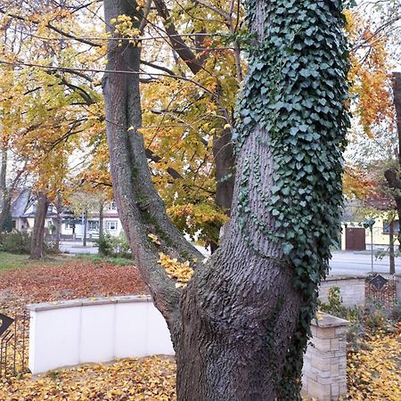 Cafe Hehrlich - Cafe, Pension & Mehr Bad Tennstedt Luaran gambar